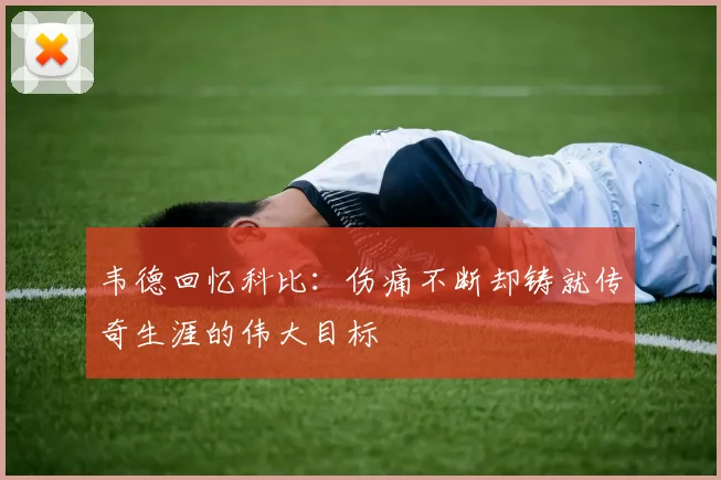 韦德回忆科比：伤痛不断却铸就传奇生涯的伟大目标