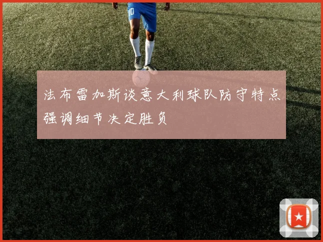 法布雷加斯谈意大利球队防守特点强调细节决定胜负